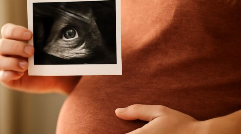 7 week ultrasound pictures and ultrasound week by week