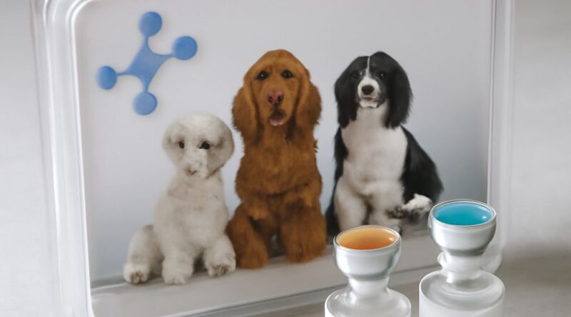 Dog flu vaccine and canine flu vaccine information