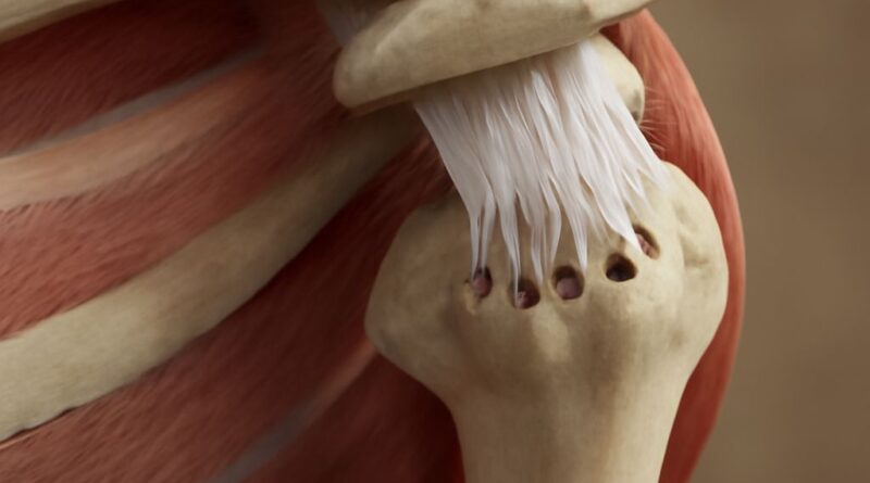 Rotator cuff repair protocol and total hip replacement physical therapy protocol